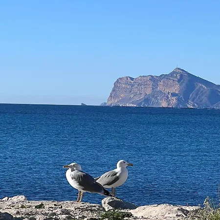 Silver Tower 5b Apartment *